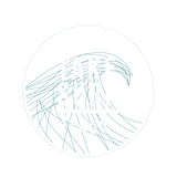 take surf