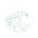 take surf